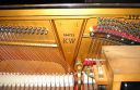 steinway-welte8.jpg